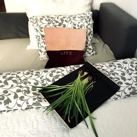 Apartamento Nico *