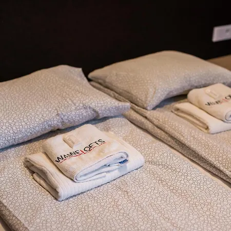 Deluxe Rakowicka 15 Wawelofts Appartamento Cracovia