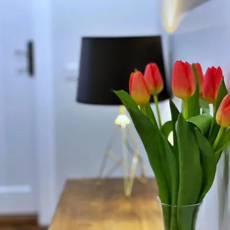 Rzeszowska 5 Apt. 3 Lägenhet