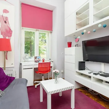 Mezzanine Microapartment Apartment