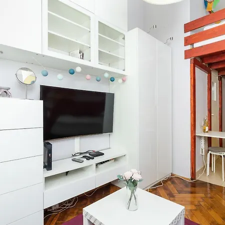 Mezzanine Microapartment *