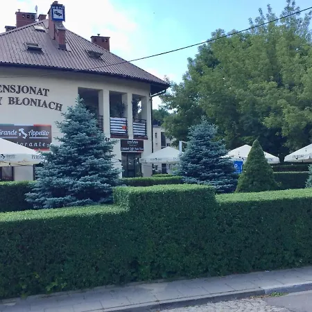 Guest house Przy Bloniach