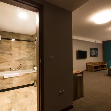 Hotel Holiday City Centre By Ihg 5*