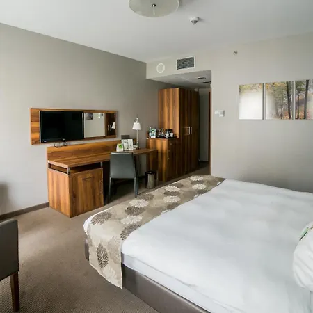 Holiday City Centre By Ihg Hotel 5*