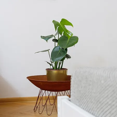 Two Bedroom - Starowislna 66 *