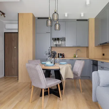 Apartment Elegancki W Krakowie Z Klimatyzacja I Dostepem Do Silowni By Renters Krakow
