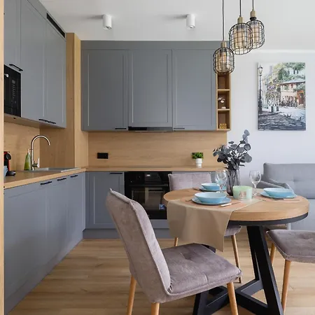 Apartment Elegancki W Krakowie Z Klimatyzacja I Dostepem Do Silowni By Renters