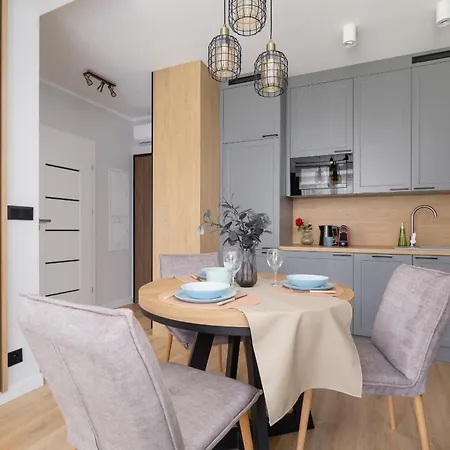 Elegancki W Krakowie Z Klimatyzacja I Dostepem Do Silowni By Renters * Krakow