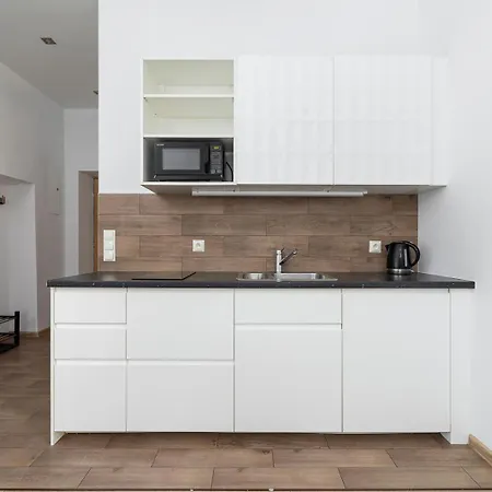Appartamento 1 Bedroom - Ludwika Zamenhofa 6 Street