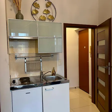 Vintage Krowoderska Apartment