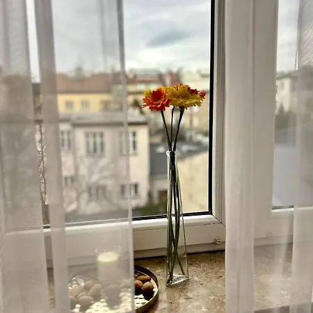 Vintage Krowoderska Apartment Krakow