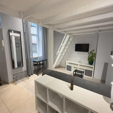 Cozy With Mezzanine Apartment