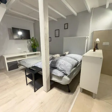 Cozy With Mezzanine Krakow