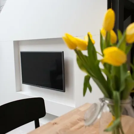 Modern Apartment46 / Kazimierz Apartment