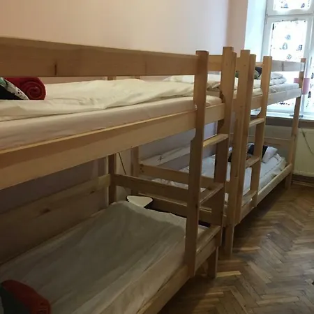 Albergue Cat