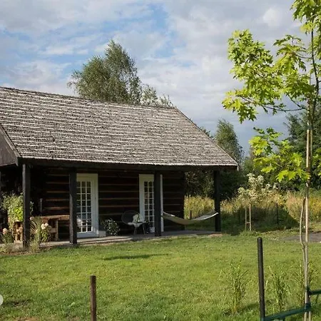 W Trawach * Kraków