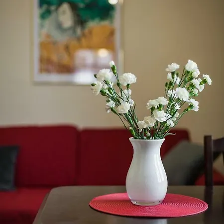 Vintage Senacka 5 * Krakau