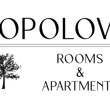 Apartment Topolove *