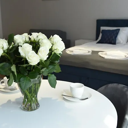 Pearl Apartments-kossak W Centrum Krakowa *