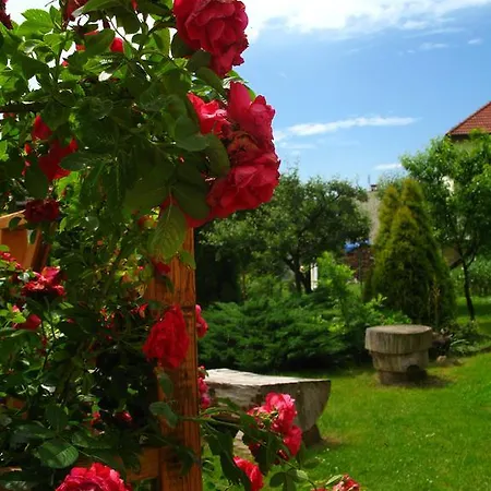 Penzion Nad Rudawa 3*