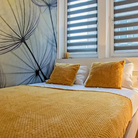 3d Kosciuszki 19 Appartement
