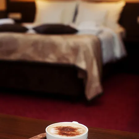Otel Wielopole 3*