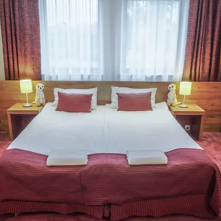 Swing Hotel Krakov