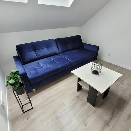 Apartment Uroczy W Kamienicy Nr. 8