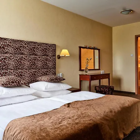 Great Polonia Krakow Airport - Ex Witek Hotel Modlniczka
