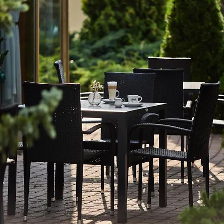 Great Polonia Krakow Airport - Ex Witek 4*