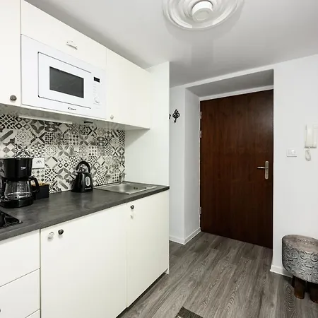 Native Studencka 25 Apartment Krakow