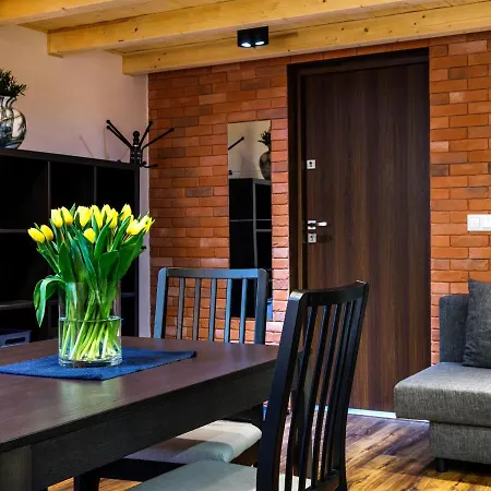 Apartment Tyzenhauz Economy Krakow