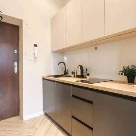 Apartment Piekny W Zabytkowej Kamienicy