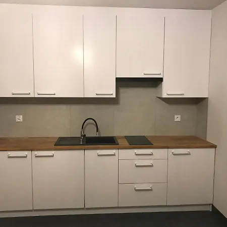 Apartment Pszczelna Loft