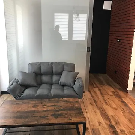 Pszczelna Loft Apartment *