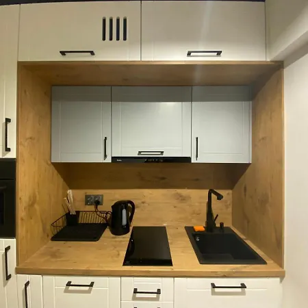 Appartement Przytulne Studio W Centrum/ Centrum Kongresowe Ice *