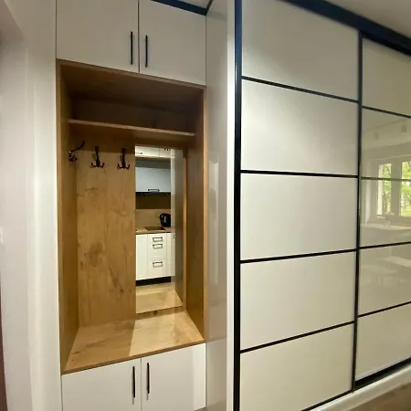 Przytulne Studio W Centrum/ Centrum Kongresowe Ice Appartement Cracovie