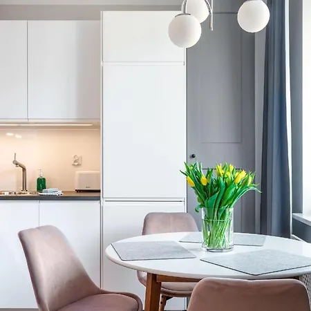 Tyzenhauz Rakowicka Street Apartment Krakow