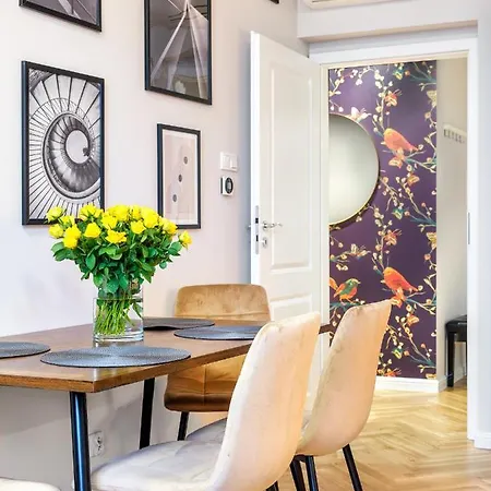 Tyzenhauz Rakowicka Street Apartment Krakow