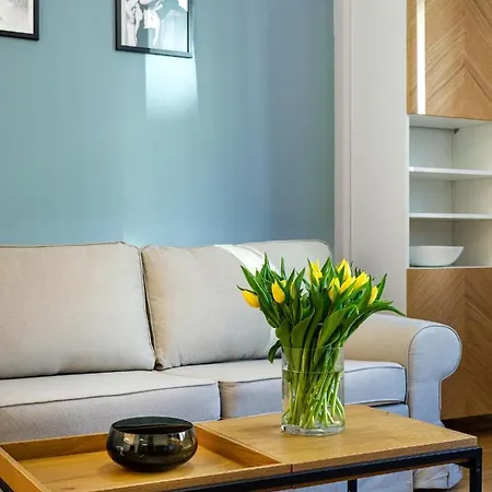 Tyzenhauz Rakowicka Street Apartment
