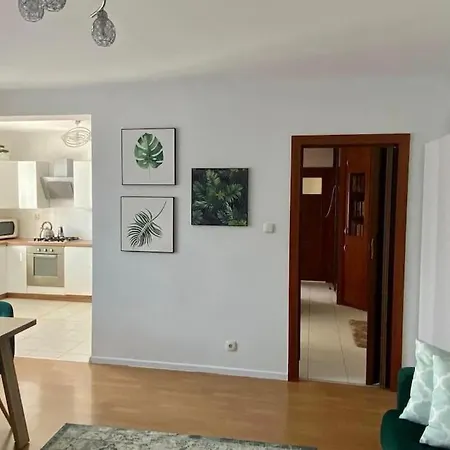 Green Краков