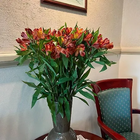 Karmel Hotel 3*