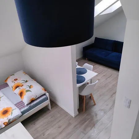 Apartment Uroczy W Kamienicy Nr. 8 *