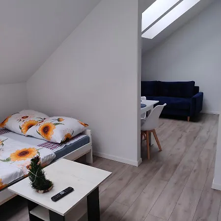 Uroczy W Kamienicy Nr. 8 Krakow