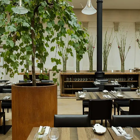 Pod Roza 5* Krakow
