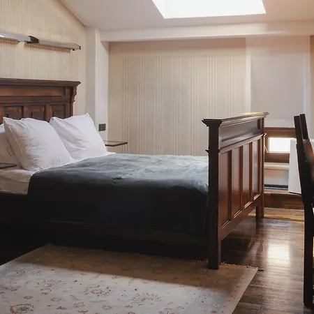 Otel Copernicus