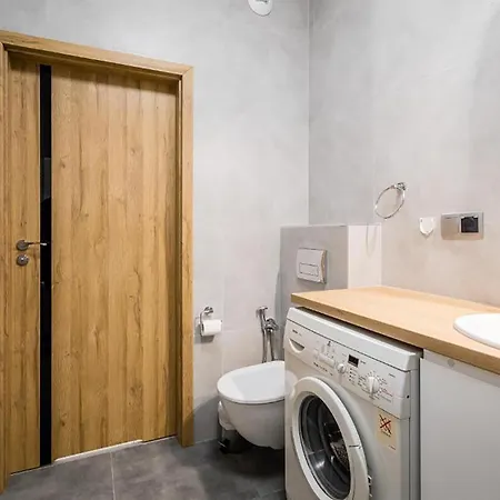Deluxe Apartment *