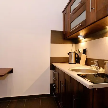 P&j Sw. Krzyza Apartment
