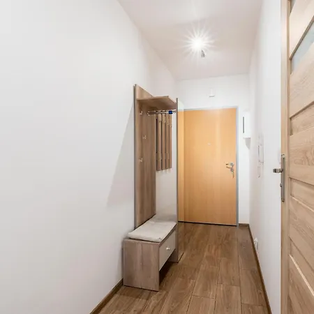 Danka Comfort Apartment *