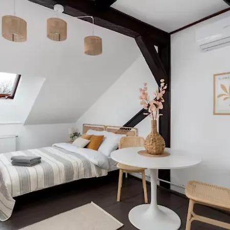 Wislna Old Town Appartement *